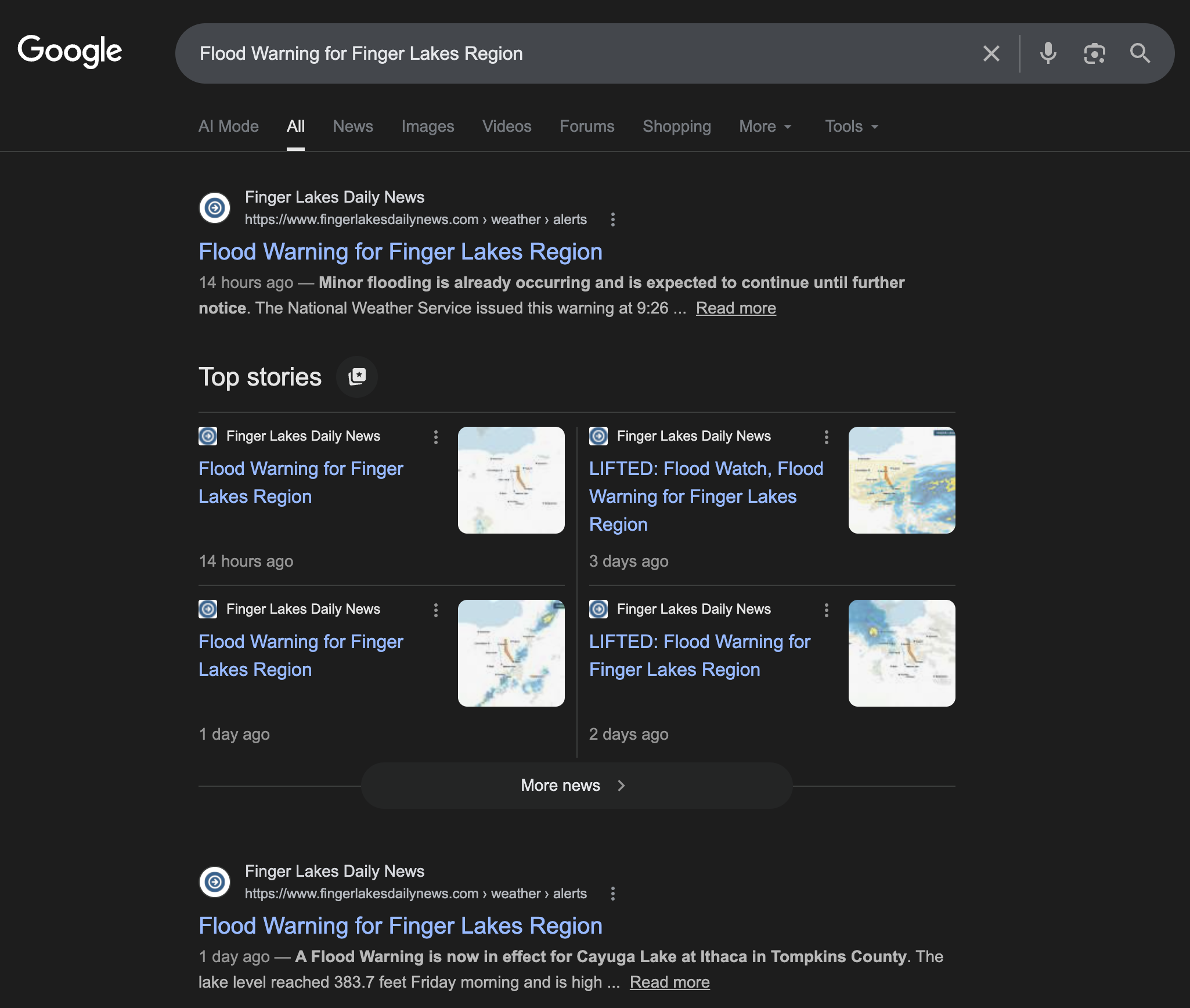 Google search results for 'Flood Warning for Finger Lakes Region' showing FLDN owning position 1, all Top Stories, and position 2 — 100% share of voice.